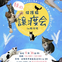 ねこ浴場&ねこ旅籠で譲渡会