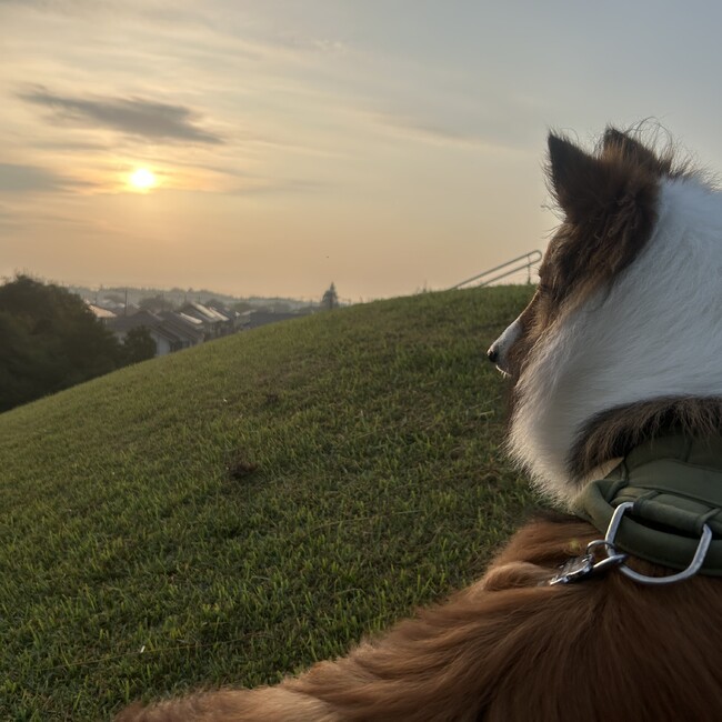 J・Bのカバー写真