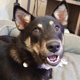 みのり　女の子