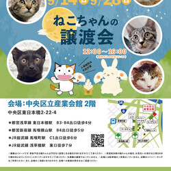ねこざんまい譲渡会@東日本橋