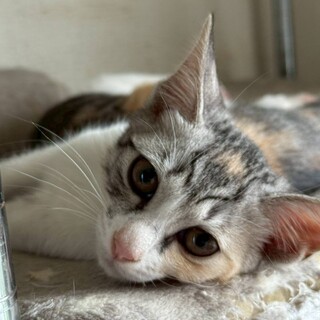 9/21カインズ浦和美園参加　のっちちゃん