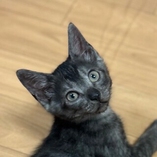 9/7高田馬場★リーゼくん★イケてるヘアスタイル