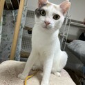柔らかな色と無邪気さに癒さらちゃう