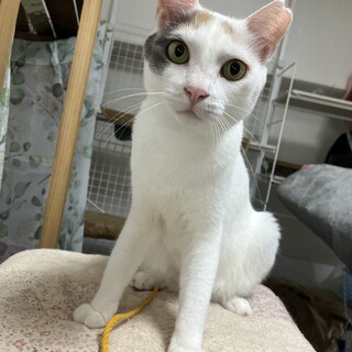 柔らかな色と無邪気さに癒さらちゃう