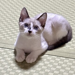 【9/7東銀座】むにくん★３ヵ月♪