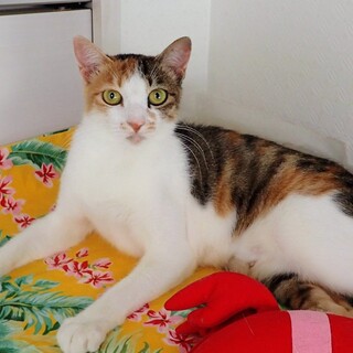 【12/27東銀座】ひがしちゃん★１歳♪