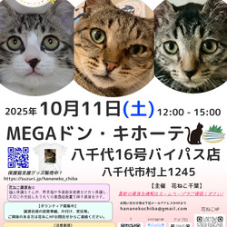 花ねこ譲渡会
