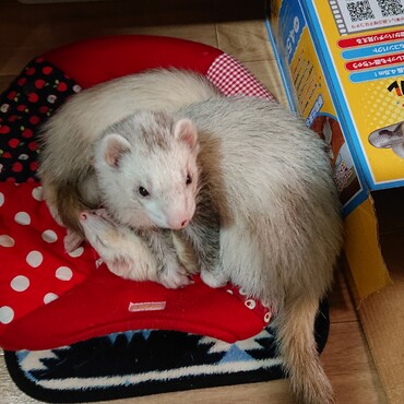 一緒にいたい  …