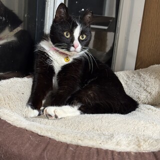 とにかくかわいい