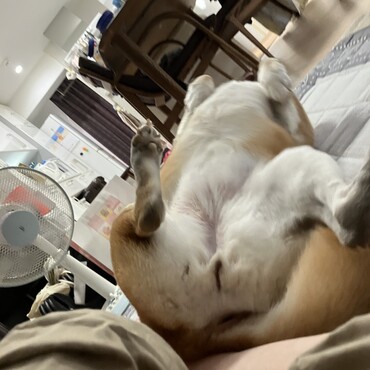 の写真