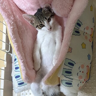 甘えたい男の子