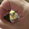 ろくさん6912