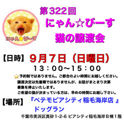 にゃん☆ぴーす猫の譲渡会【稲毛海岸/ペテモピアシティ稲毛海岸店』