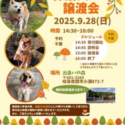 岐阜県関市の保護犬譲渡会