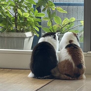 の写真