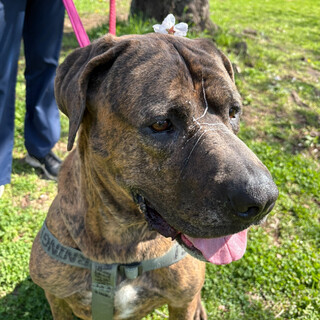 人だいすききなこちゃん♪♪