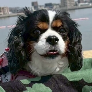 終の住処となる暖かいご家族募集しています