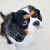 終の住処となる暖かいご家族募集しています サムネイル7