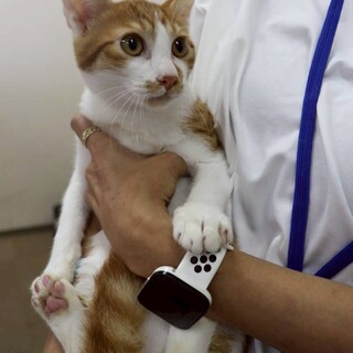 人との暮らし、楽しいかも！バズくん