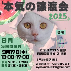 本気の譲渡会