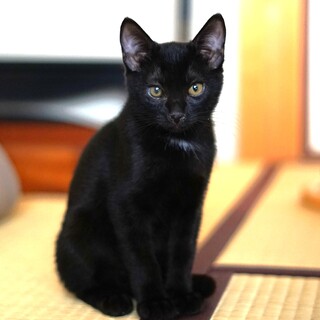 ちょう甘えん坊の鈴くん♡