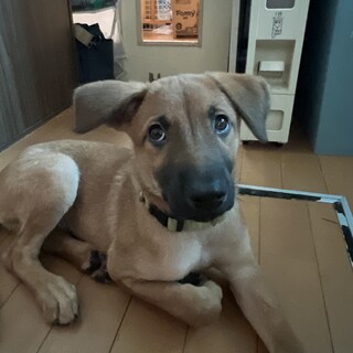 3ヶ月の甘えん坊な男の子