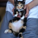 人が大好き♡甘えん坊