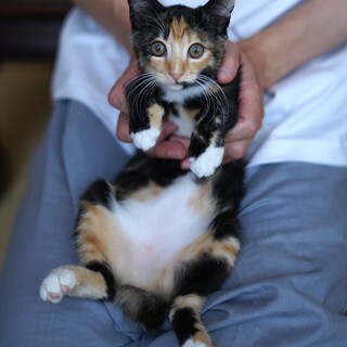 人が大好き♡甘えん坊