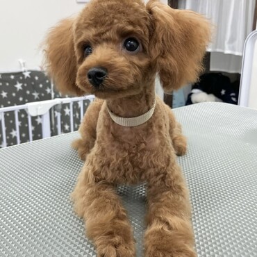 まだまだ甘噛み止まりません