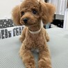 まだまだ甘噛み止まりません