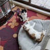 場所の取り合い