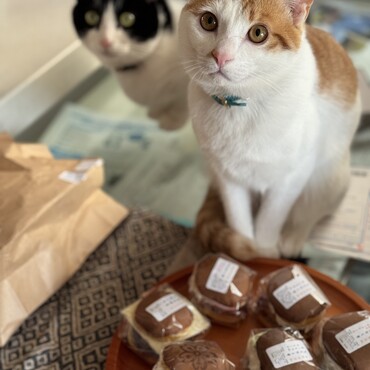 僕たちのお土産は？
