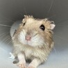 むむむた さん