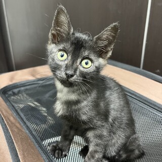 不思議なおしゃれ柄のBoy