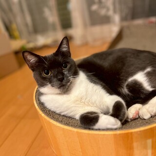 人間大好き♡遊ぶの大好き♡　あい♀