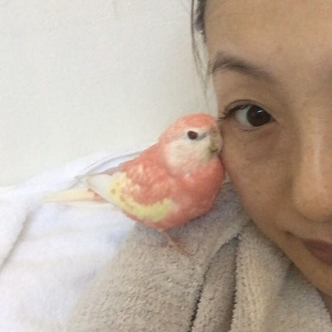 mi_dori_310のカバー写真