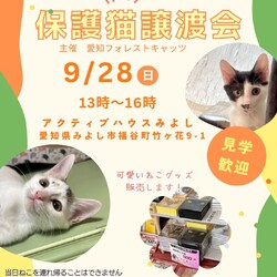 保護猫譲渡会＆猫グッズ物販　みよし市