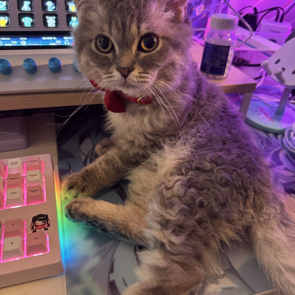 ルナのカバー写真