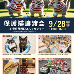 春日部保護猫譲渡会