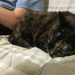 「一大事！‼️」サムネイル1