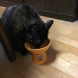 「一大事！‼️」サムネイル2