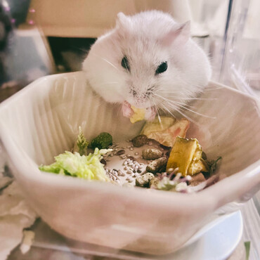 の写真