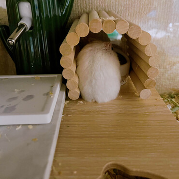 の写真