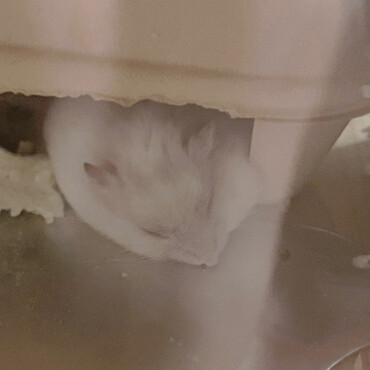 の写真