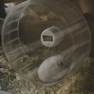 の写真