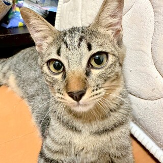 ちょっぴりビビリな コウちゃん