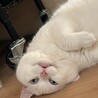 そう0510