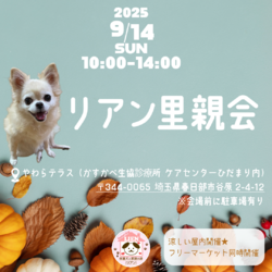 犬保護団体リアン 里親会