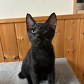 やんちゃな甘えっ子あーくん