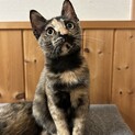 甘えっ子のピンクちゃん